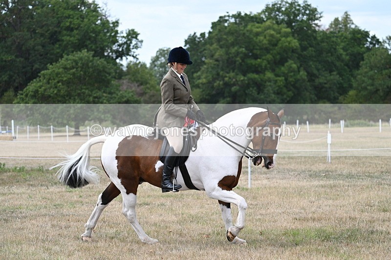 WJ7_5658 - Class 12 Ridden Cob