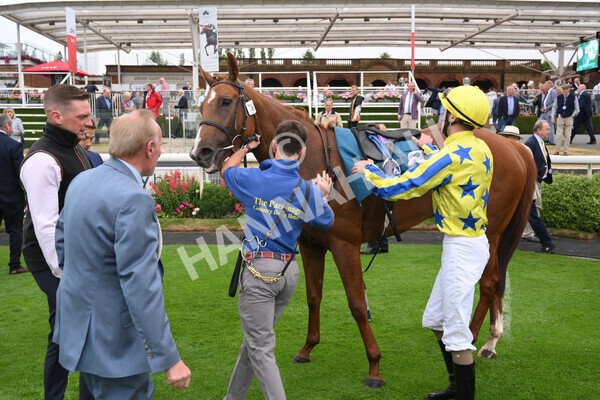 yr22072022r3-76 - Race 3 6.20pm Tomahawk Stakes