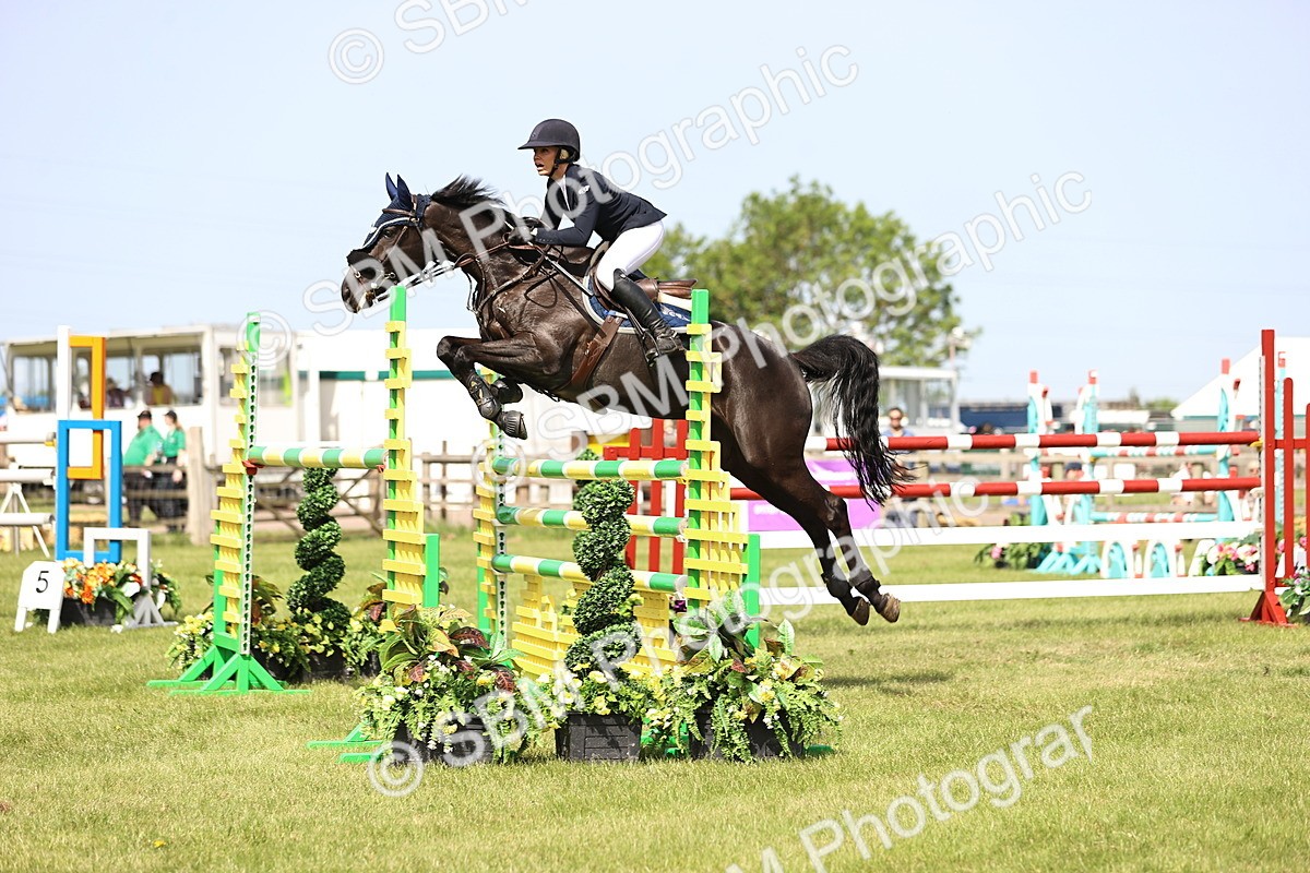 SBM_03051 - Class 201 - British Horse Feedds Speedi Beet HOYS Grade C