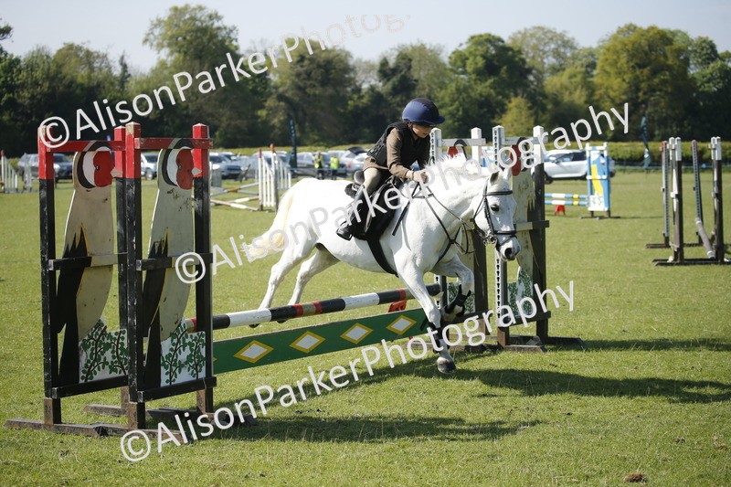20250427-0441 - Class 12 - Rookie Jumping 40cm