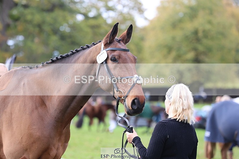 251026A-114835-25696 - G-514-Carolyn.Price With Trot Up