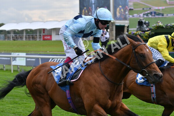yr12052021r3-22 - Race 3 2.40pm Duke of York Clipper Logistics Stakes