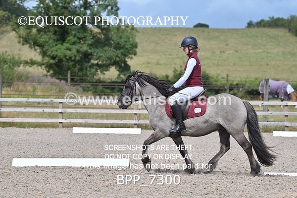 BPP_7300 - PRELIM 3