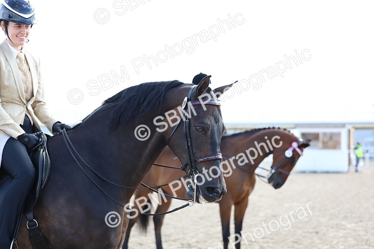 SBM_09143 - Class 303 - Ridden Pure Bred Horse Pony