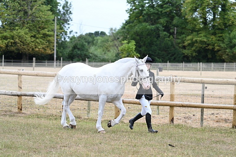 WJ7_8868 - Class 4a Prettiest Mare 14.2hh and over