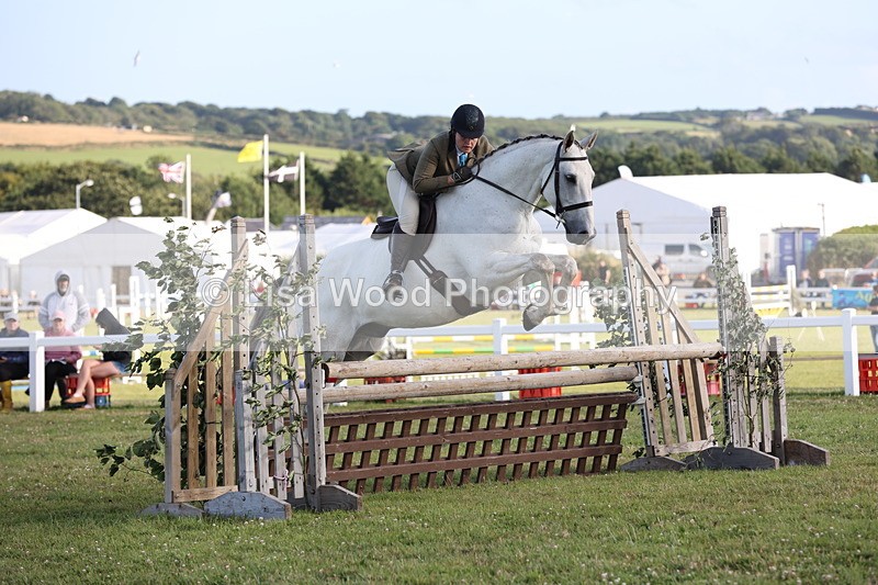 JPP_3482 - Class 22: Working Hunter 90cm