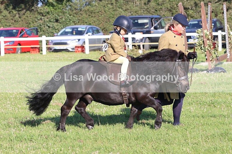 JPP_0808 - Class 16: Cornish Combination Leading Rein