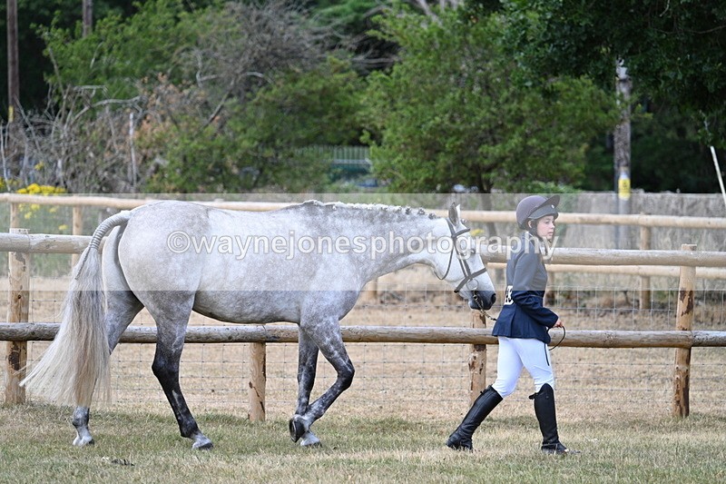 WJ7_1813 - Class 4a Prettiest Mare 14.2hh and over hand