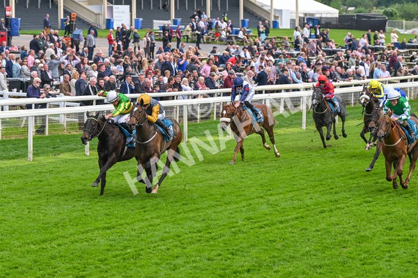 150524-Race 6-Shadow Army-4566 - Race 6 4.45pm British Stallion Studs EBF Novice Stakes