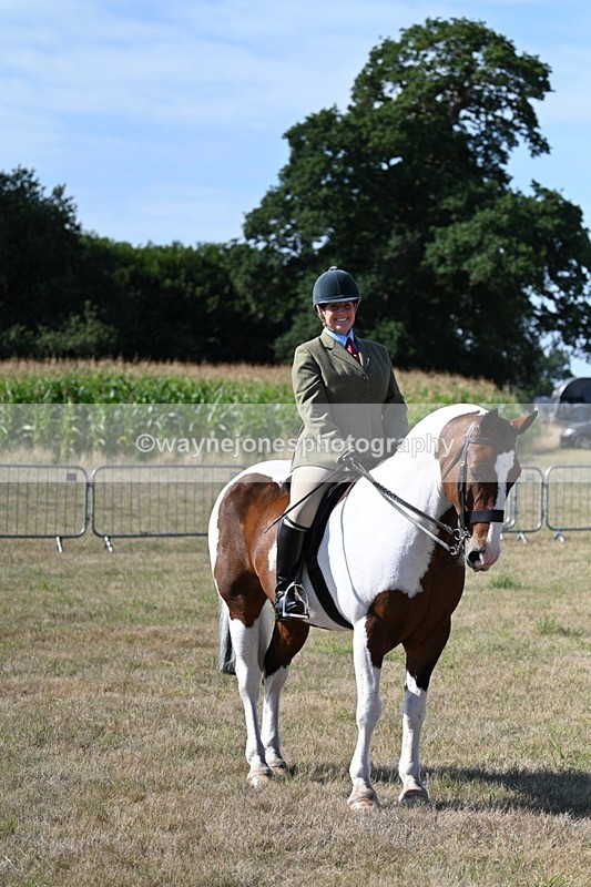 WJ7_3144 - Class 8 Ridden Tack & Turnout