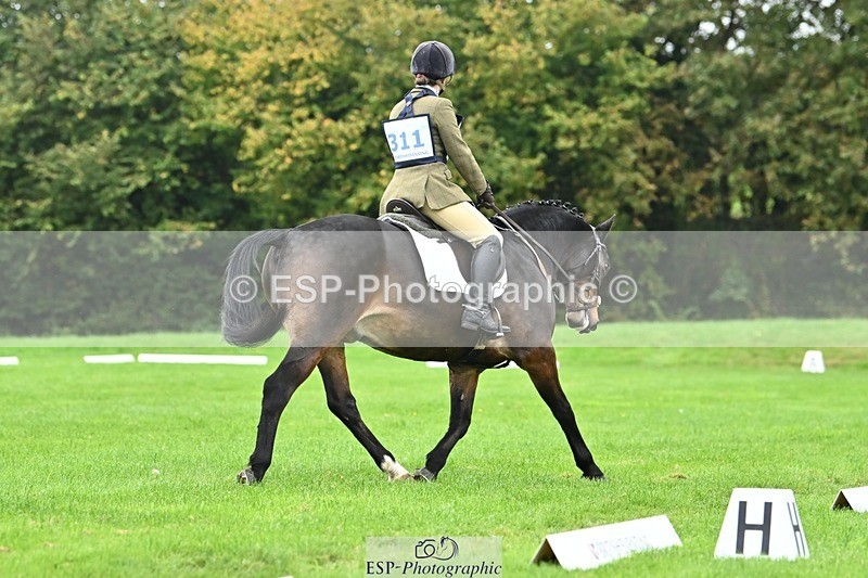 241024-104504-02260 - 311-Janine.Paterson-WILLOWAY.AMIGO