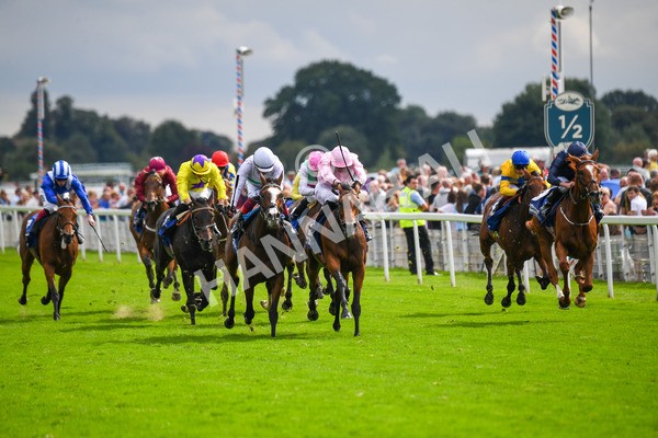 240823-Race 4-Warm Heart-0510 - Race 4 3.35pm Pertemps Network Yorkshire Oaks
