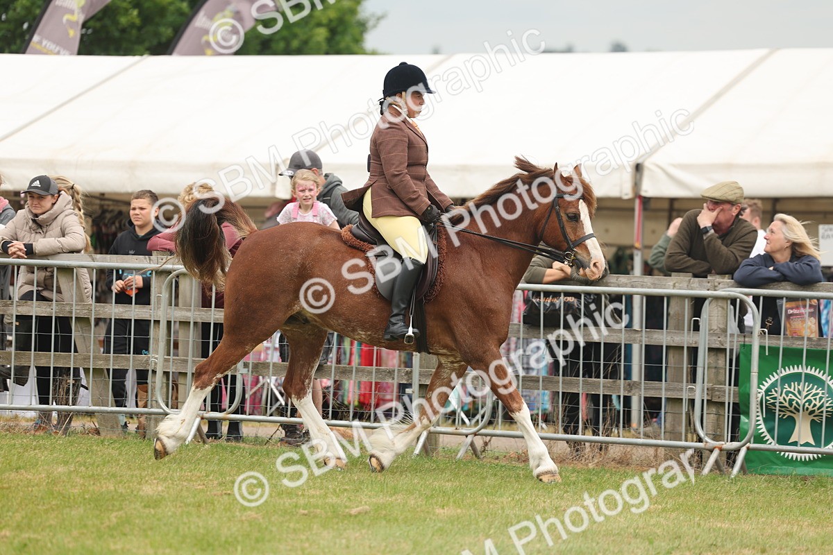 SBM_07183 - Class 76-77 - Ridden M&M Welsh Ponies