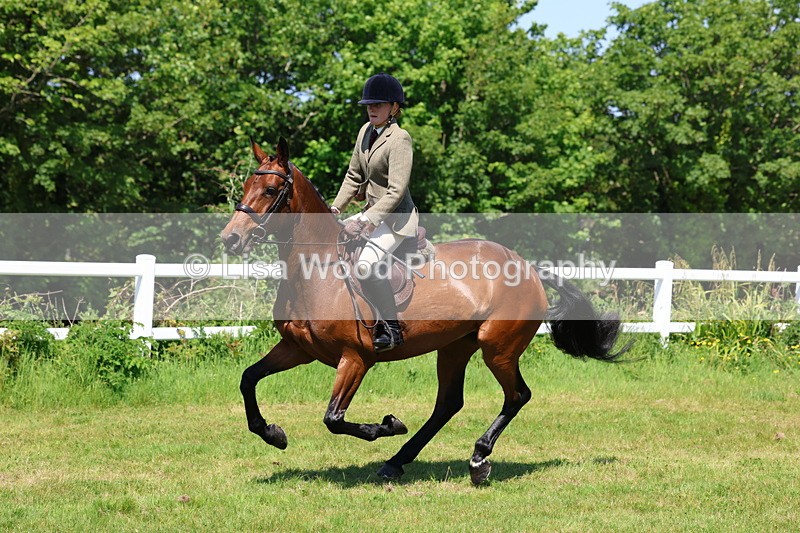 3E7A7307 - Class 30: Novice Working Hunter