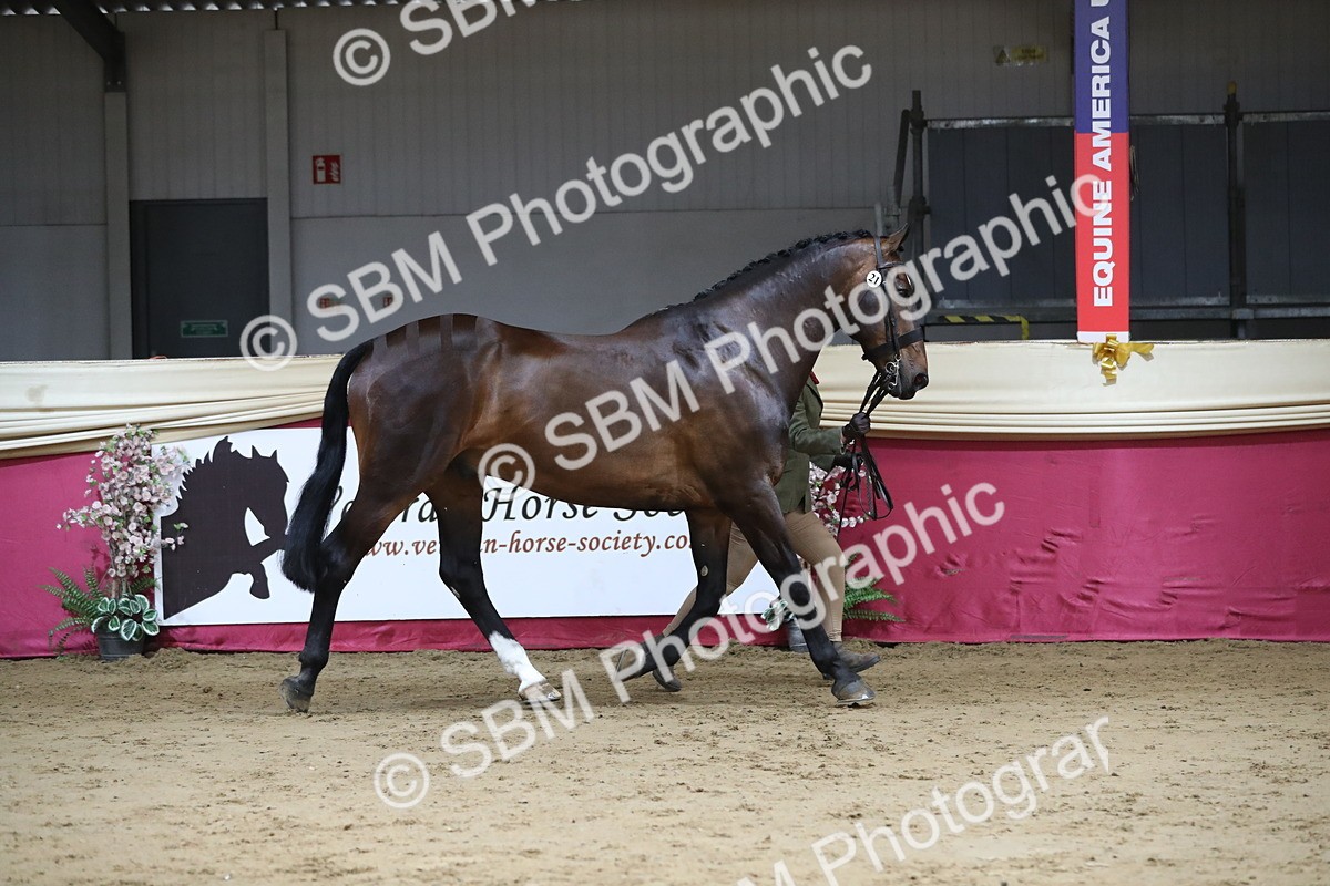 SBM_04999 - Class 8R- Regional -IH Veteran