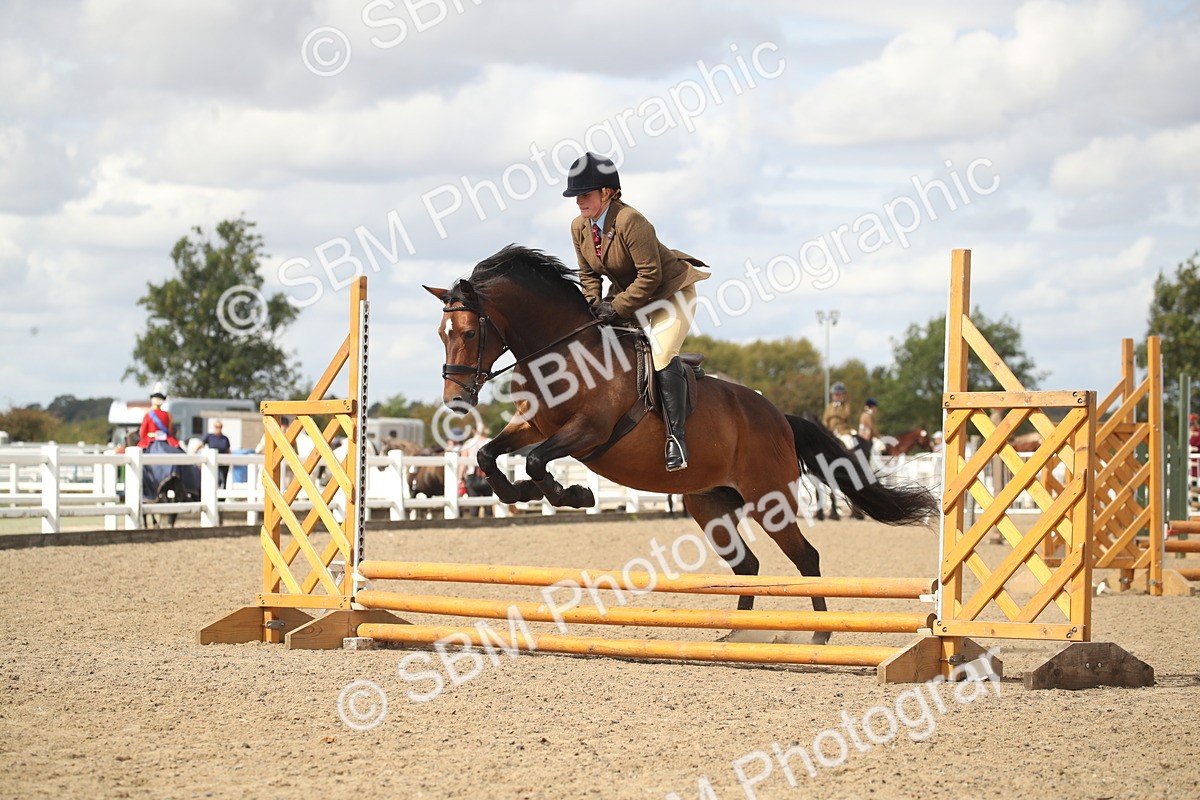 SBM_14528 - Class 505a - M&M Working Veteran - 50cm (15-19)