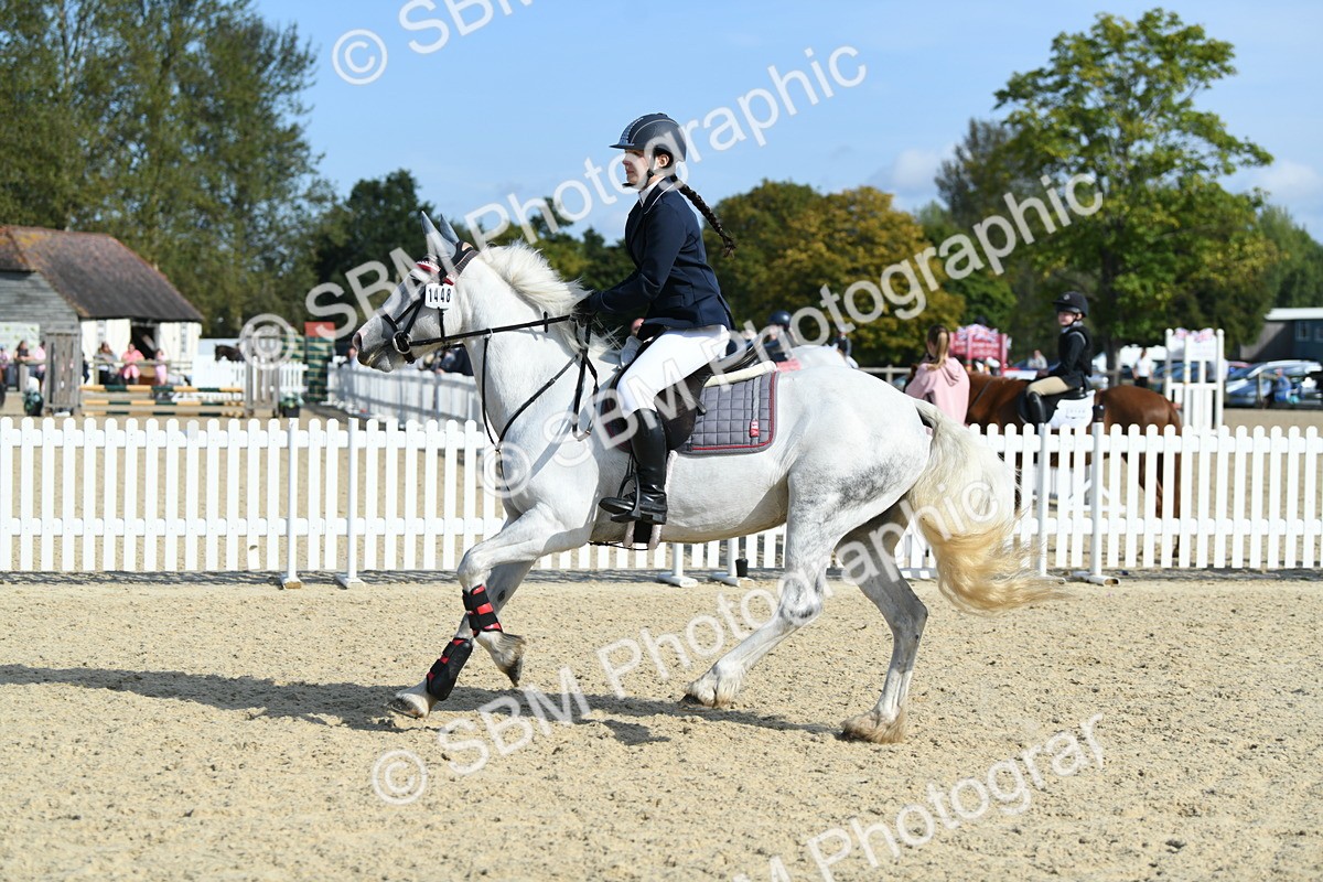 SBM_61614 - j25 - Junior Horse 80cm Championship