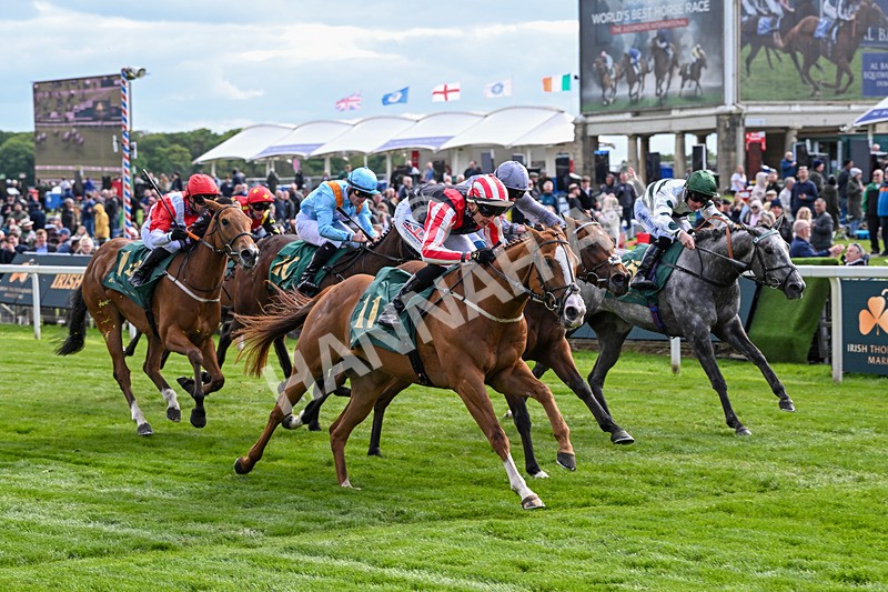 150526-Race 6-Fortification-8416 - Race 6 4.40pm Irish Thoroughbred Marketing Handicap