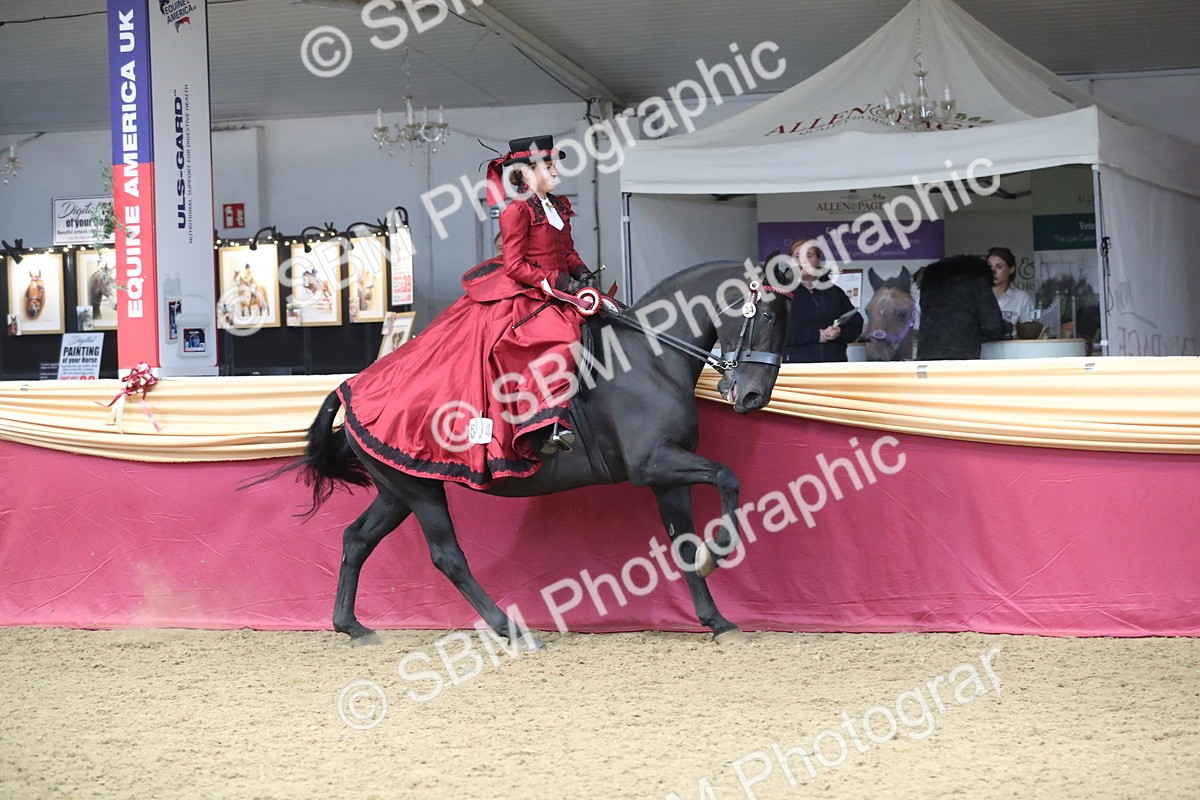 SBM_12217 - Class 107 Ridden Costume- Astride Adult (20+)