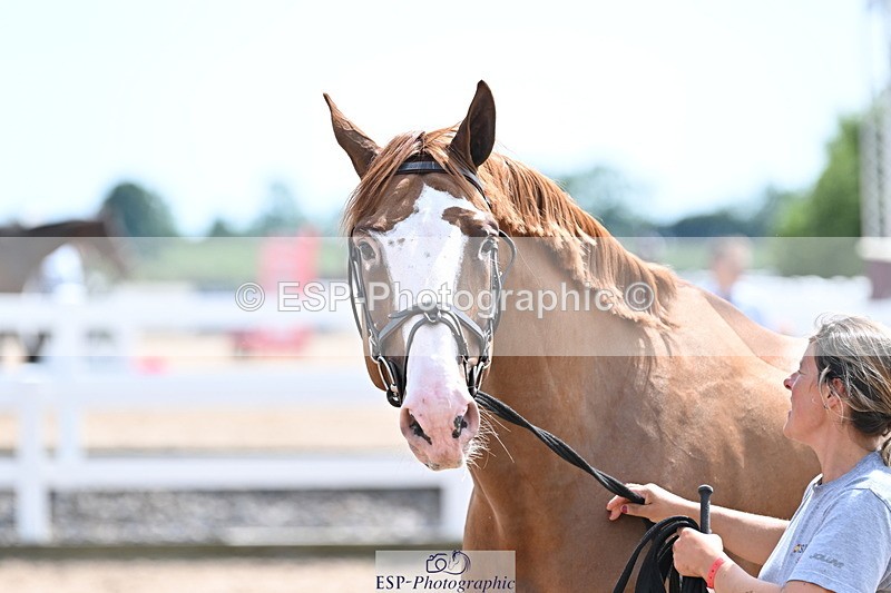 240717A-144804-02300 - Trot Up 2pm to 3pm - This folder is not in time order