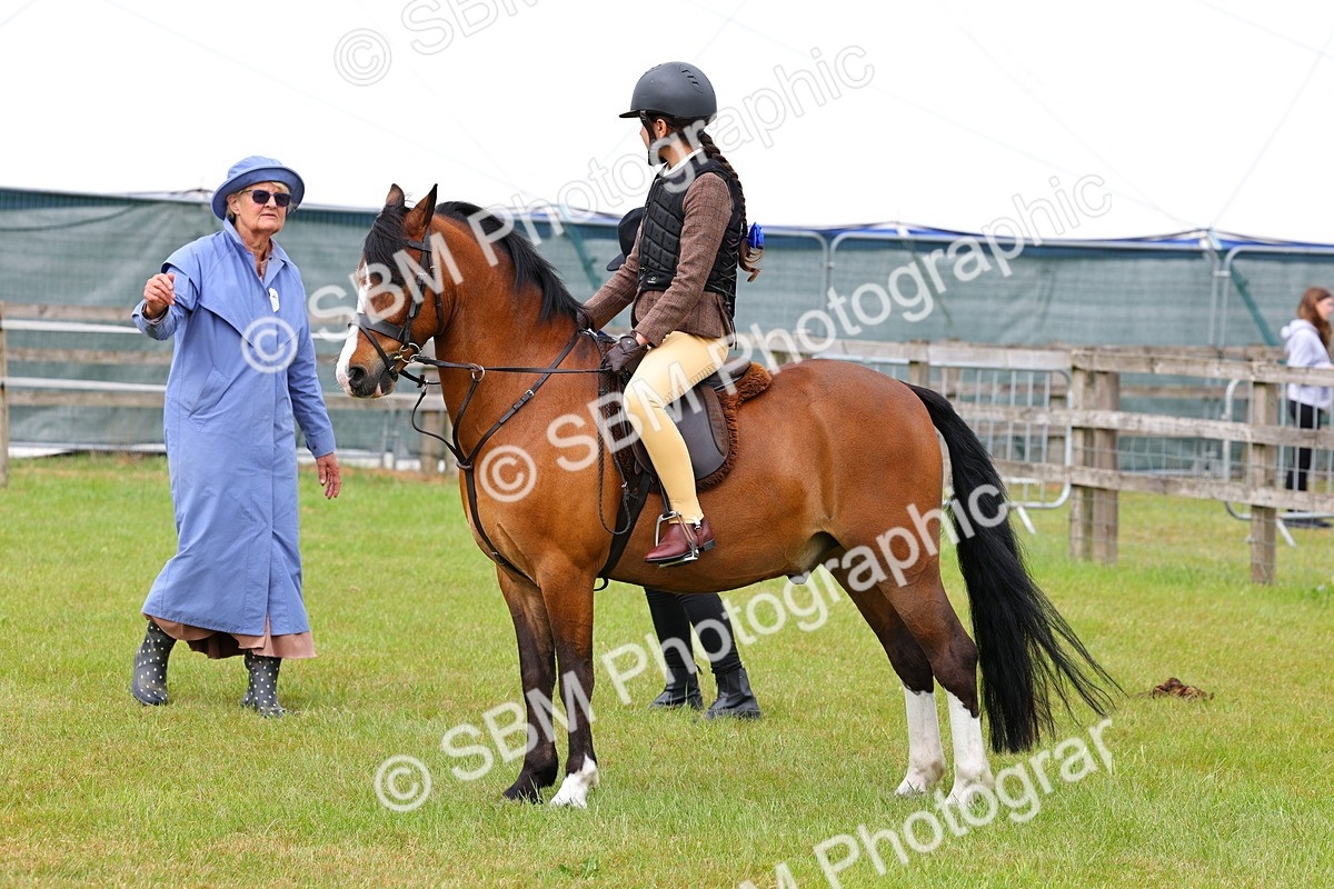 SBM_08607 - Class 42-43 - LIHS BSPS Heritage Working Sports Pony