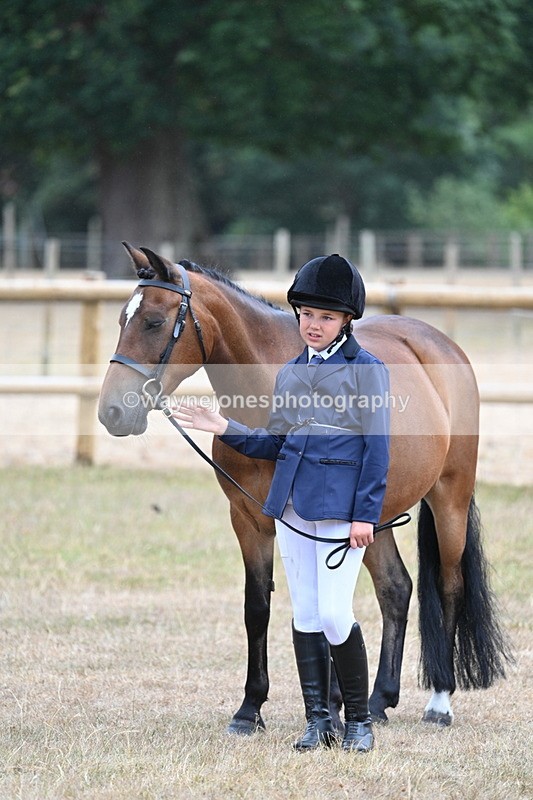 WJ7_9554 - Class 5 Most Handsome Gelding (up to 14.2hh)