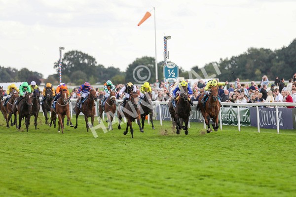 230824-Race 7-Treasure Time-8551 - Race 7 5.20pm Sky Bet Mile Handicap