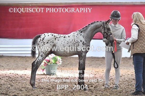 BPP_2004 - AFTERNOON 12.30 - 3.30PM