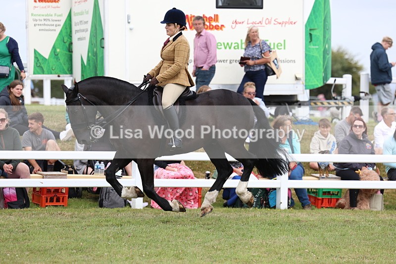 3E7A2037 - Class 10: Open Cob