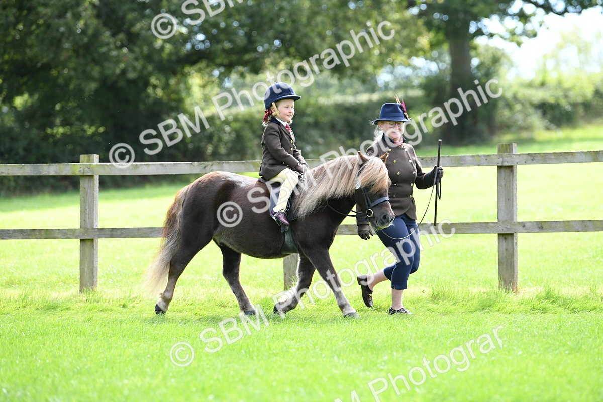SBM_42507 - S20 - Lead Rein Mountain & Moorland Pony