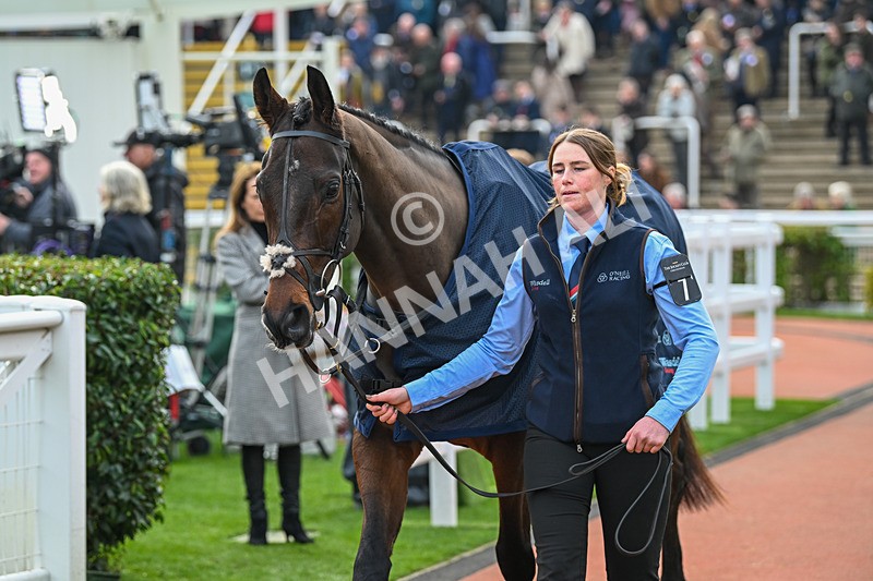 161124-Race 3-Paddock-Petit Tonnerre-9764 - Race 3