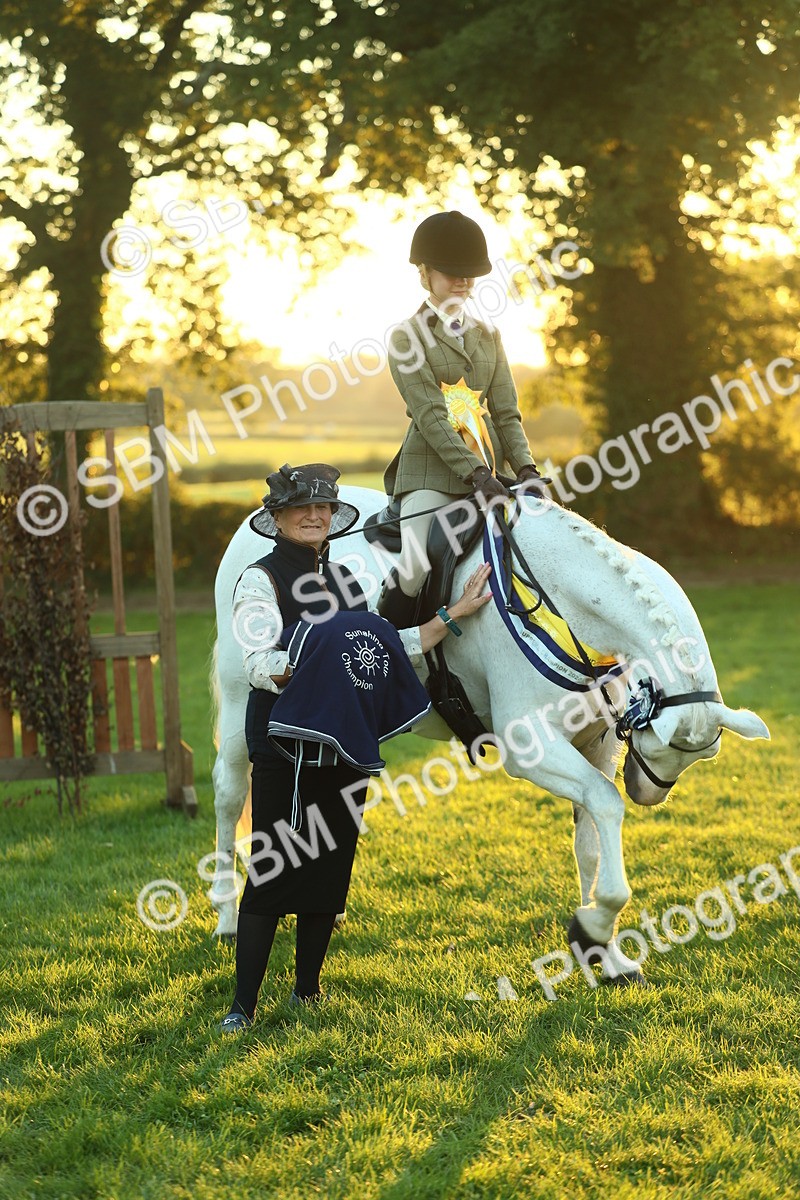 SBM_56716 - Fun & Versatile Supreme Championship