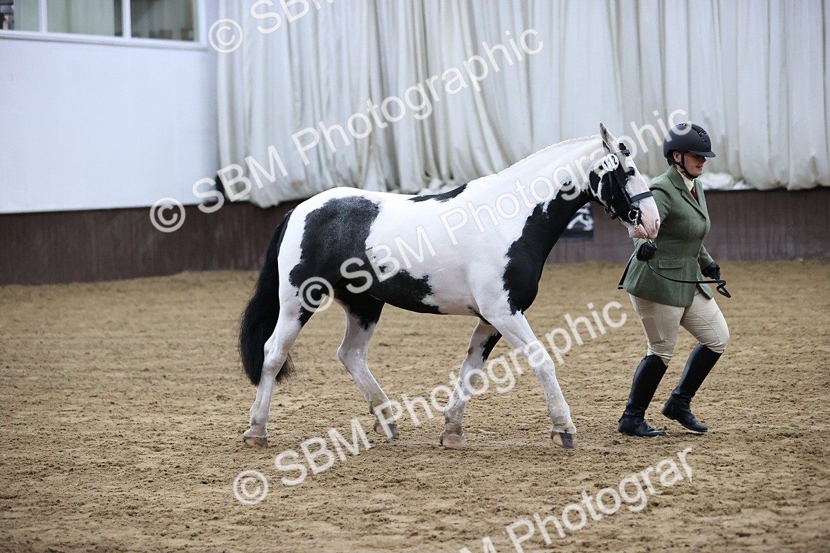 SBM_5654 - Class 40 - RESS In Hand Qualifier
