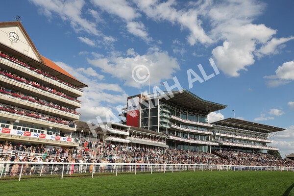 yr20082022r7-16 - Race 7 5.20pm Sky Bet Finale Stakes