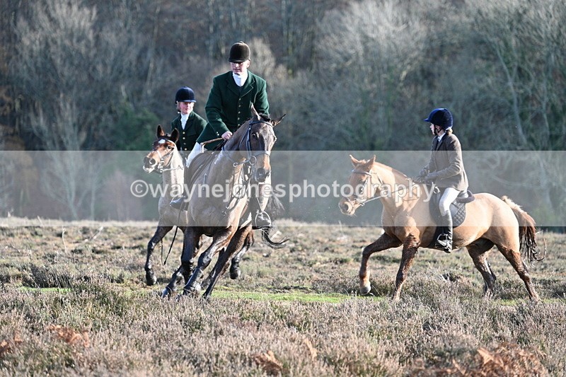 WJ7_7959 - Line 3 (no line 4 or 5)