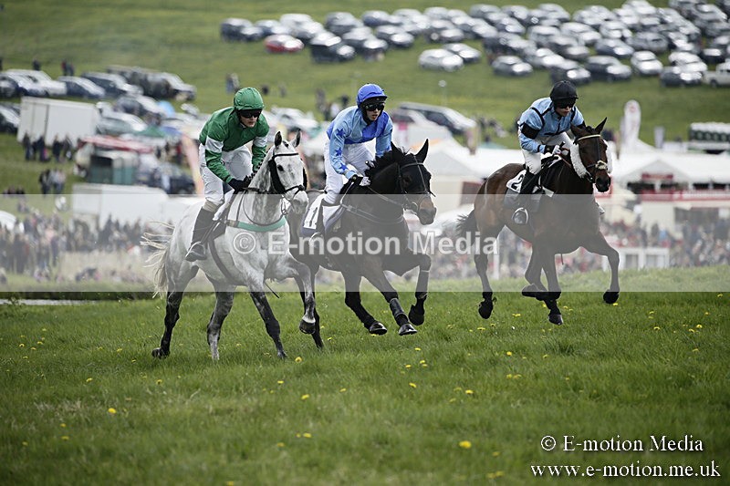 PtP 170417 90 - Old Berks Point-to-Point Lockinge 17/04/17