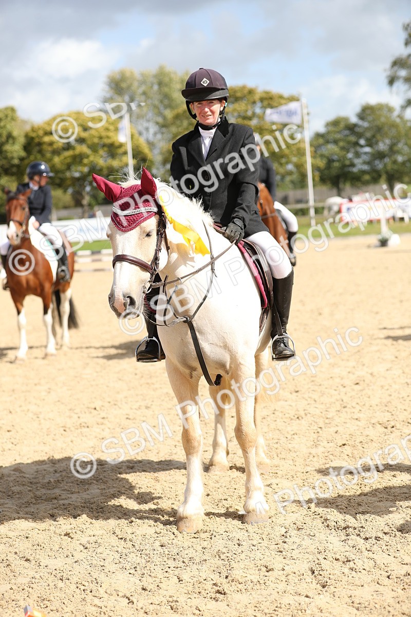 SBM_06536 - J29 - Senior Horse & Pony 65cm Championship