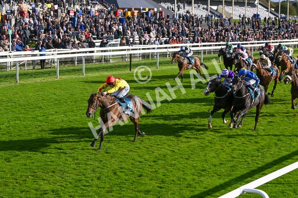 111024-Race 5-Vince LAmour-2005 - Race 5 3.45pm Copper Knight - Winning Most Horse At York Handicap