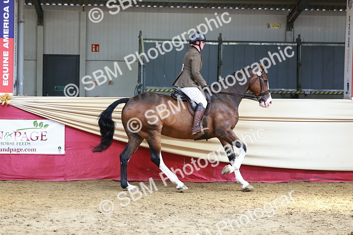 SBM_23927 - Class 905 - Supreme Final - Ridden Veteran