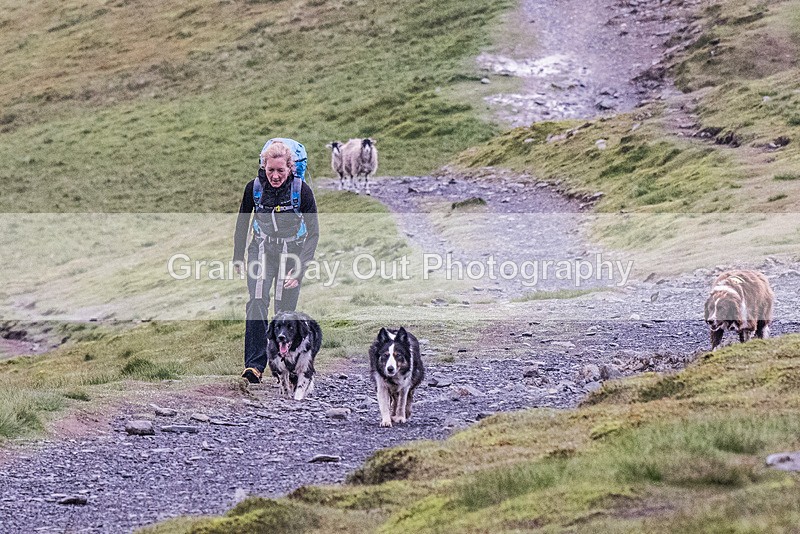 Belt Up Blencathra-2 - Kong Belt Up Blencathra Wednesday 8th June 2022