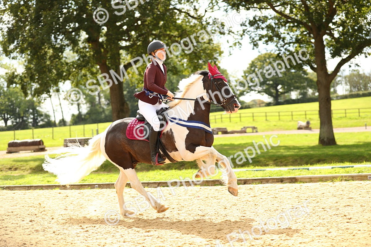 SBM_64193 - Supreme Championship - AM