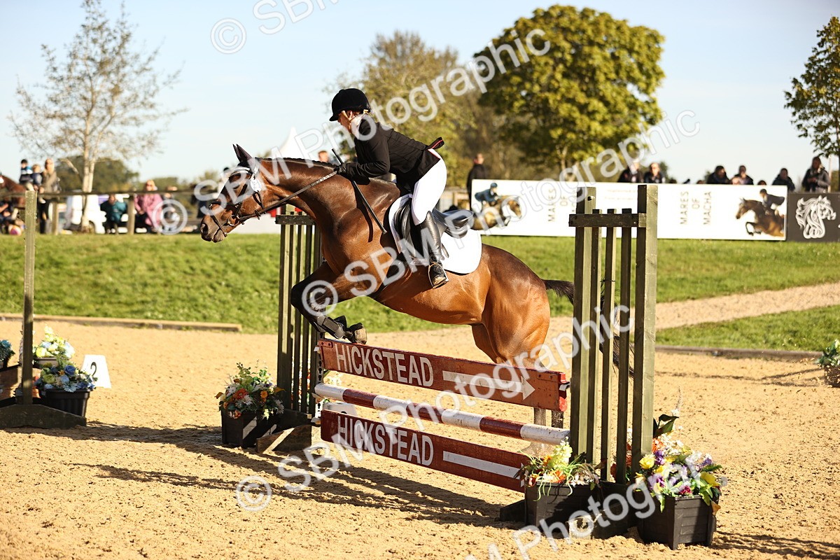 SBM_35143 - J38 - Senior 80cm Championship