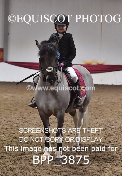 BPP_3875 - CLASS 25 PONY Club/ Unaffiliated 60cms Open Club/ Unaffiliated 60cms Open