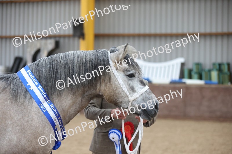 20251109-1182 - Championship