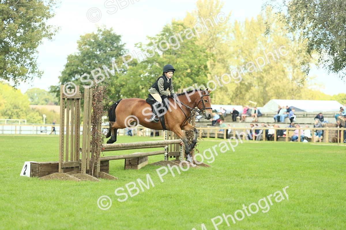 SBM_44606 - S31 - Working Hunter Pony