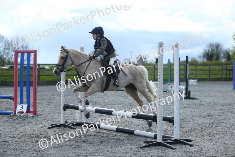 20260412-1780 - Show Jumping