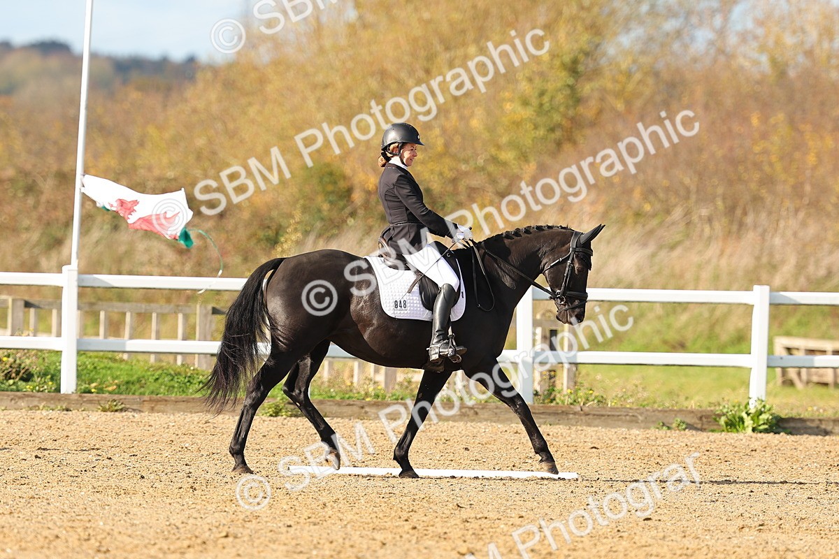 SBM_001350 - Medium 3