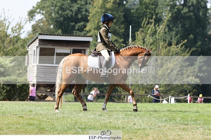 250823A-135612-31404 - Arena D