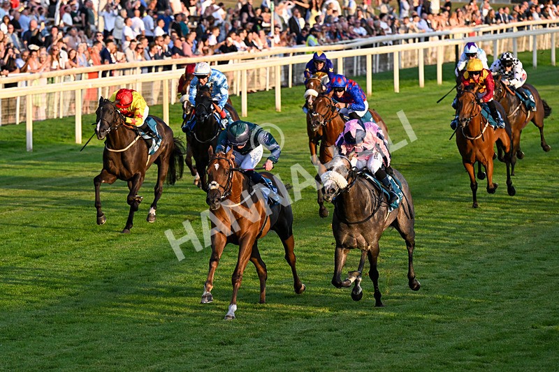 240726-Race 6-Explosive Finnish-0665 - Race 6 20.25pm Sky Bet Go-Racing-In-Yorkshire Summer Festival Handicap
