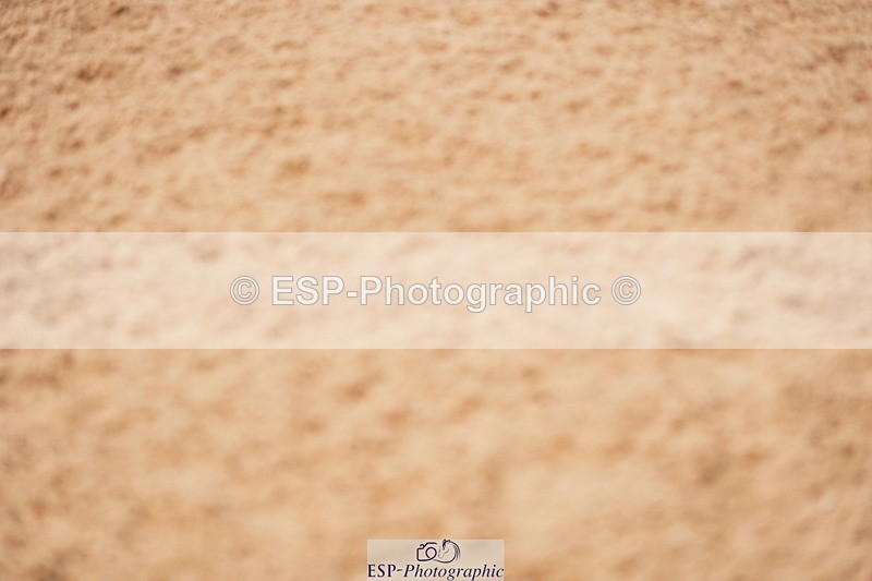 240526A-104932-07646 - Cls 26 Chard Equ 1.05m and 1.10m Grand Prix